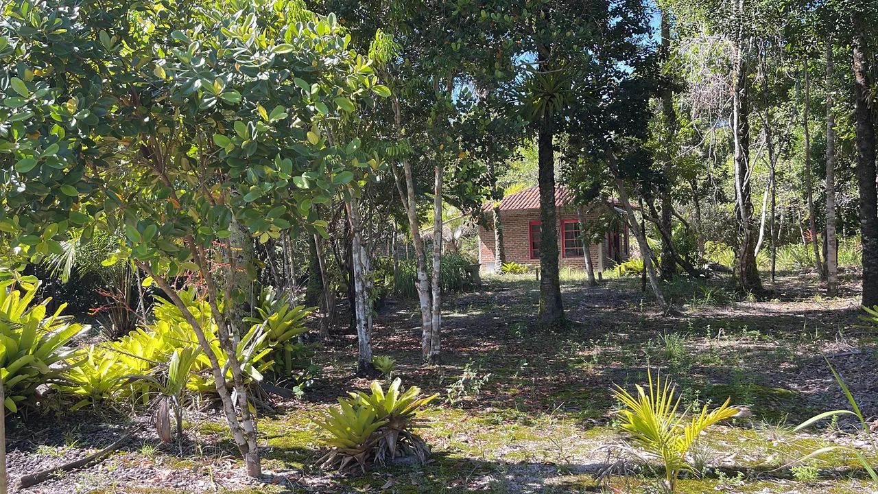 Lote lindo entre Ilhéus e Serra Grande - Foto 5