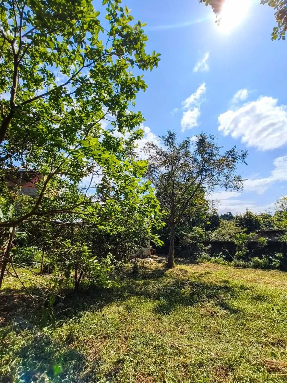 Terreno à venda - Foto 5
