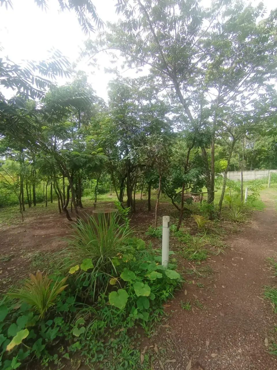 CHACARA EM ARAGOIANIA,COM 2.O81 MT. - Foto 3