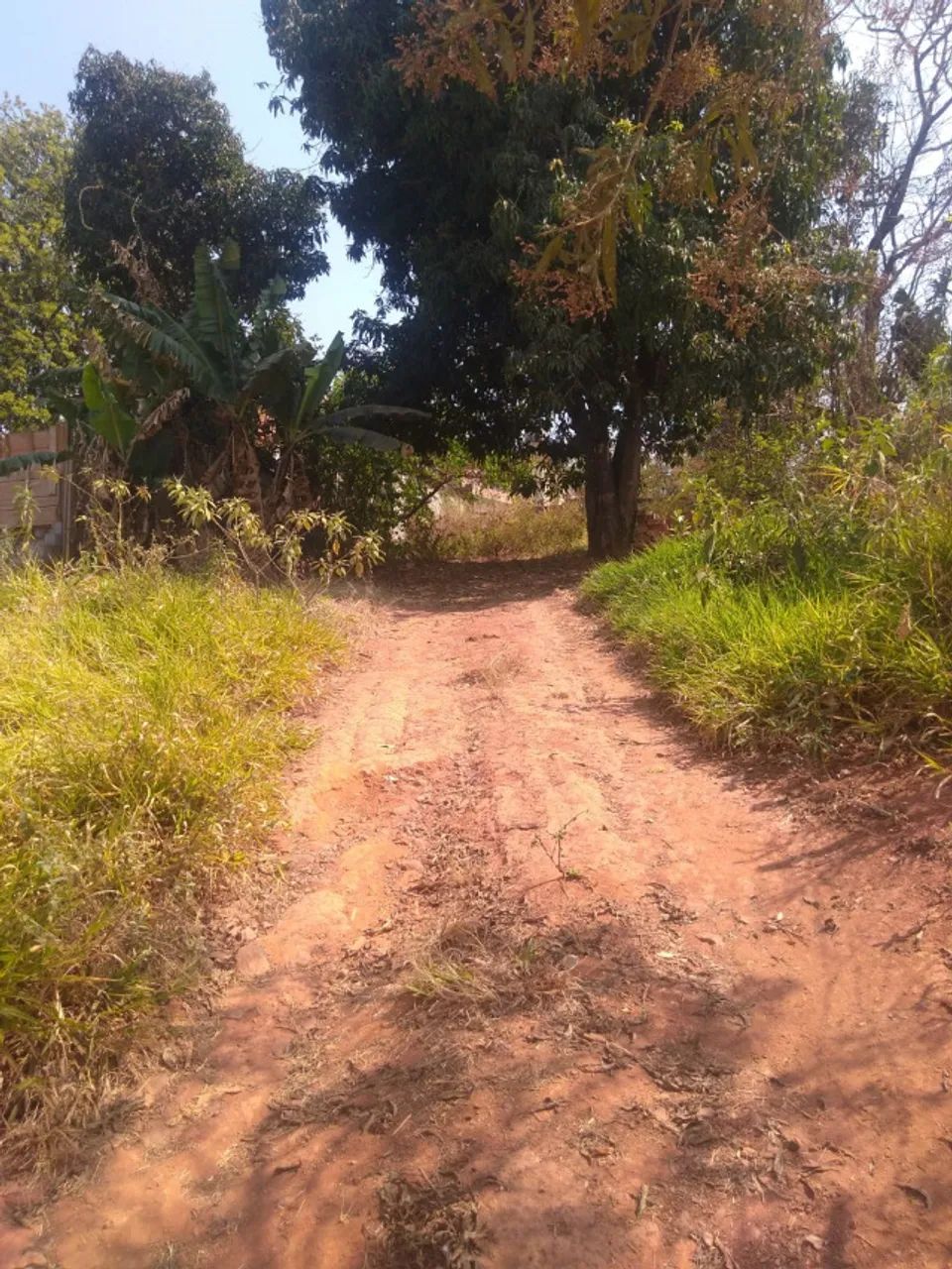 Foto - Mateus Leme - 