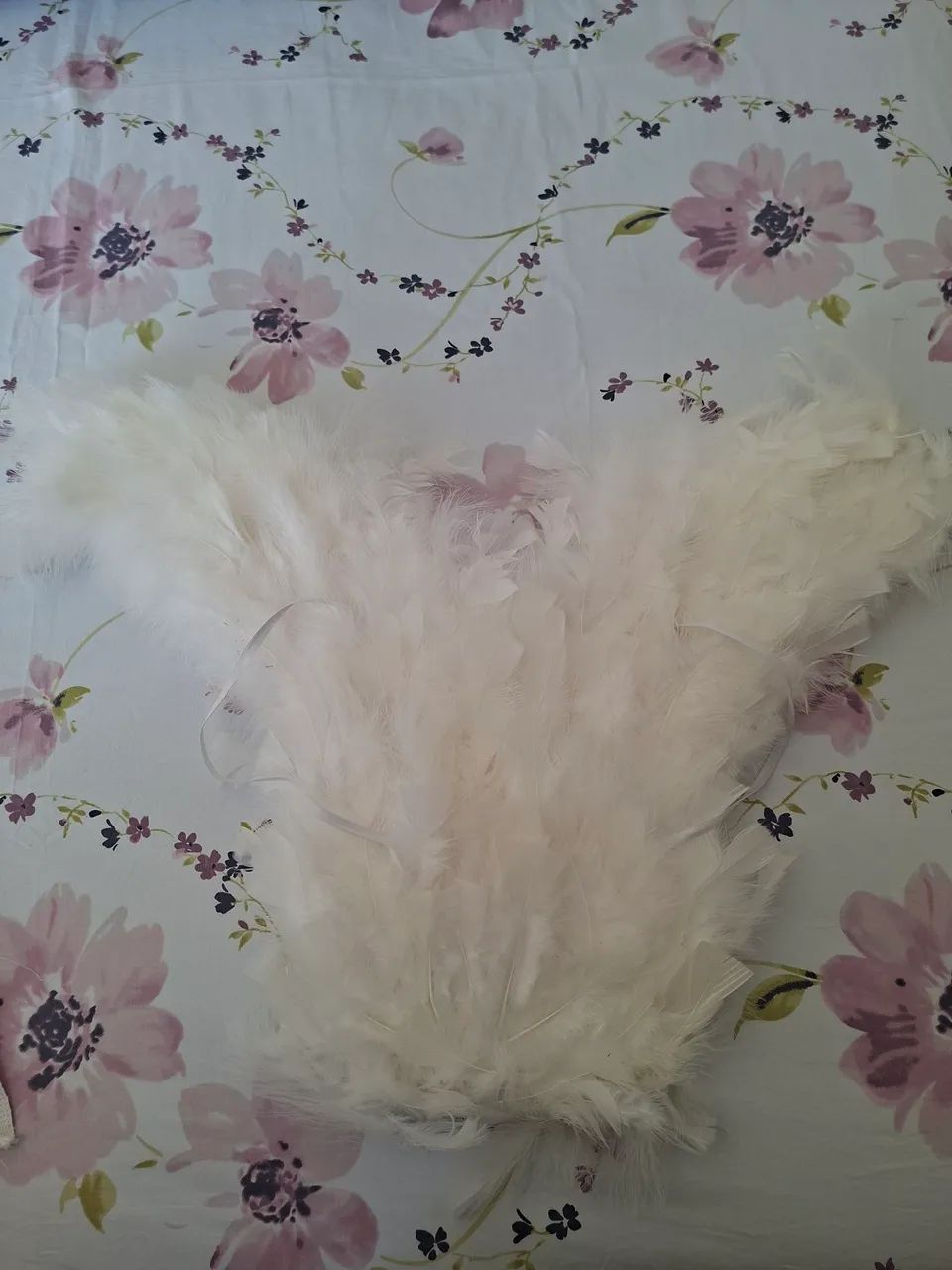 Asas de Anjo - Foto 3