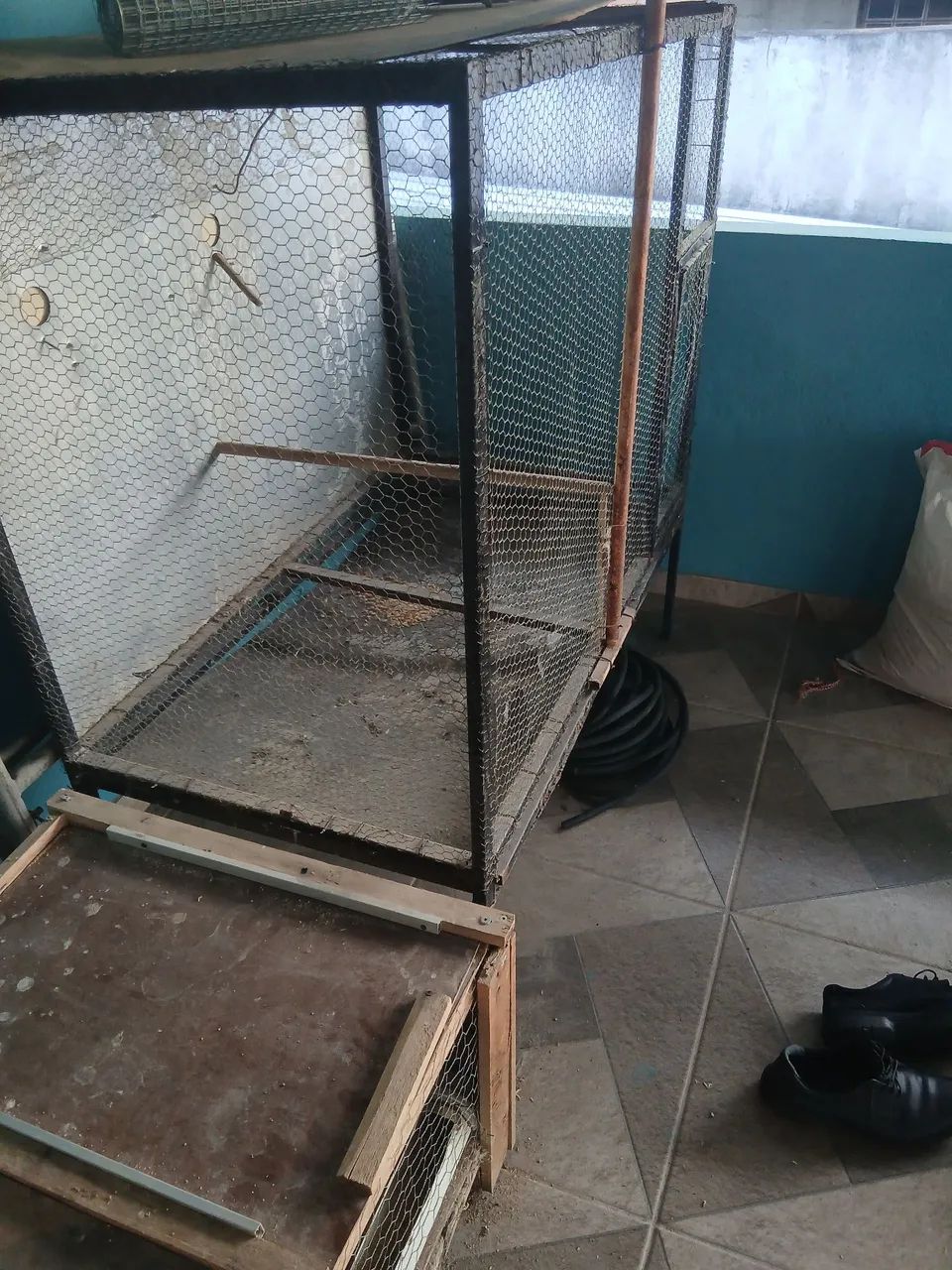 viveiro - Foto 2
