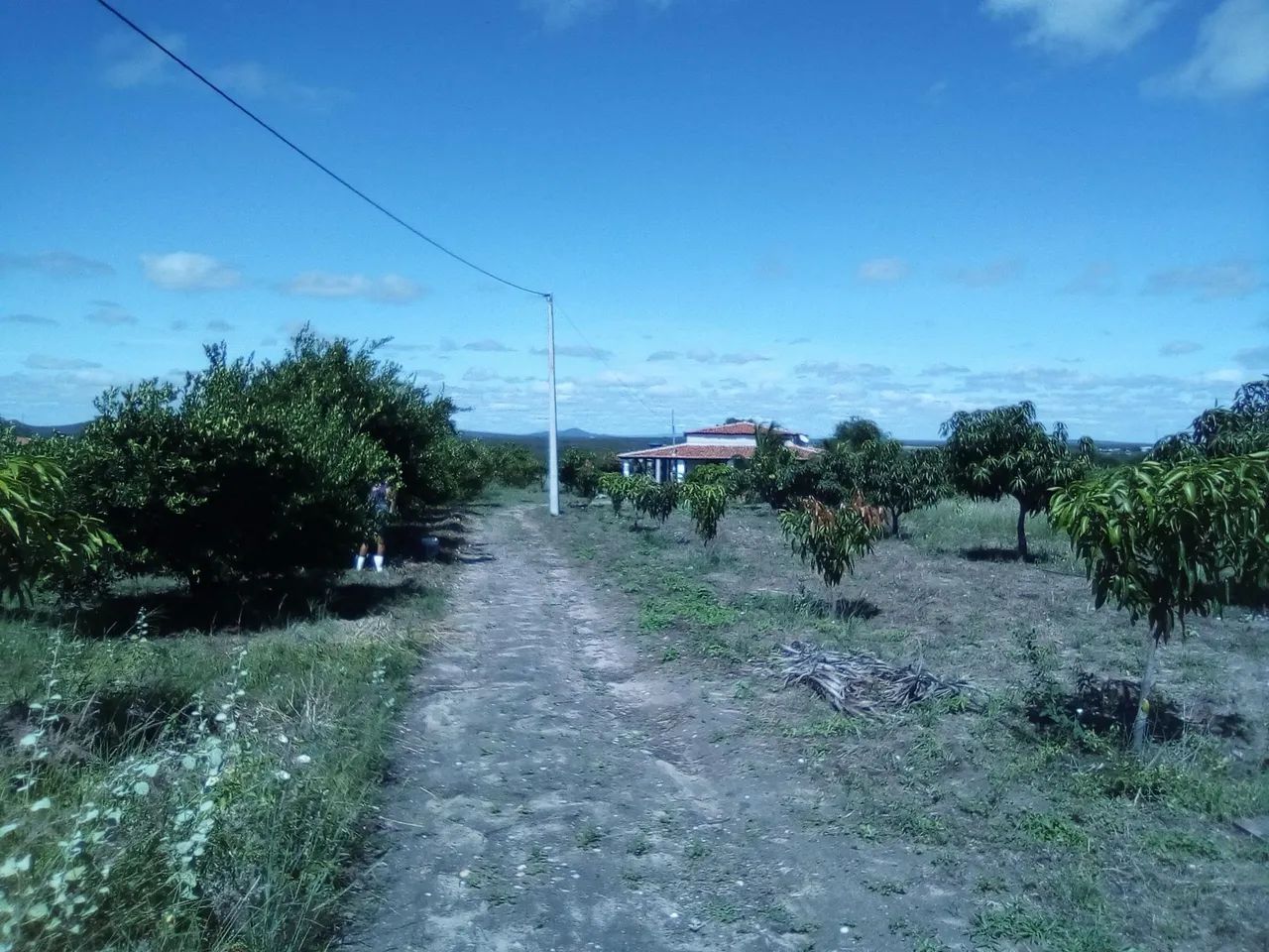 Vendo  - Foto 4