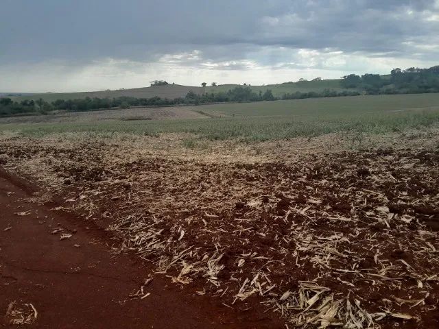 Sítio 7 Alqueires Divisa Dr Camargo/Água Boa - Foto 5