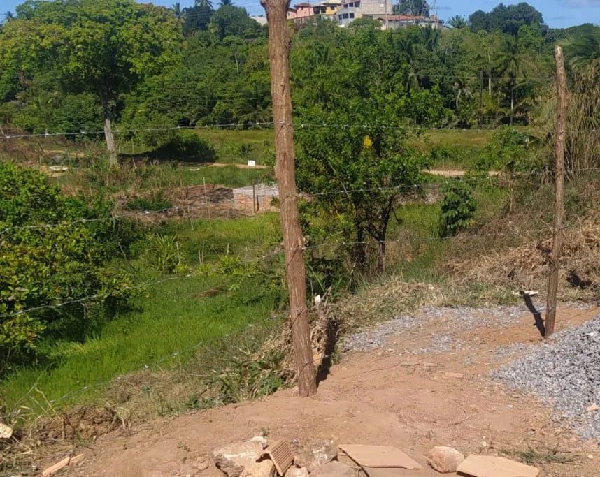 Terreno  - Foto 2