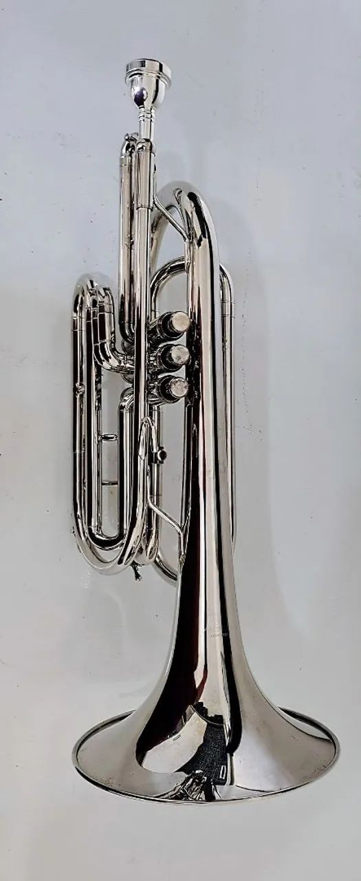 Trombonito Magnum  - Foto 3
