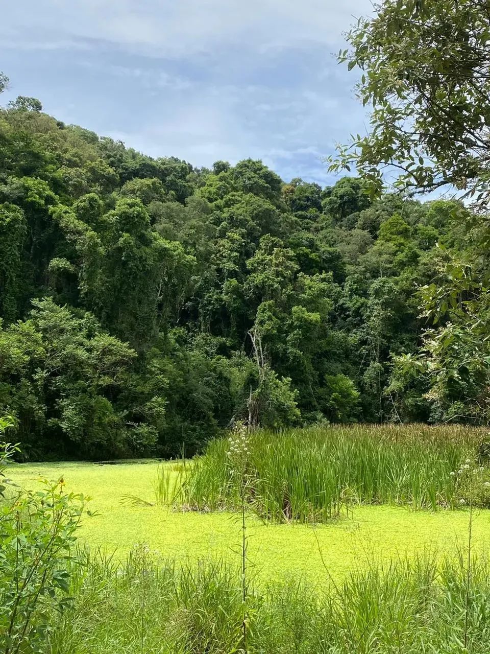 Pré-lançamento em região de crescimento acelerado - Foto 4