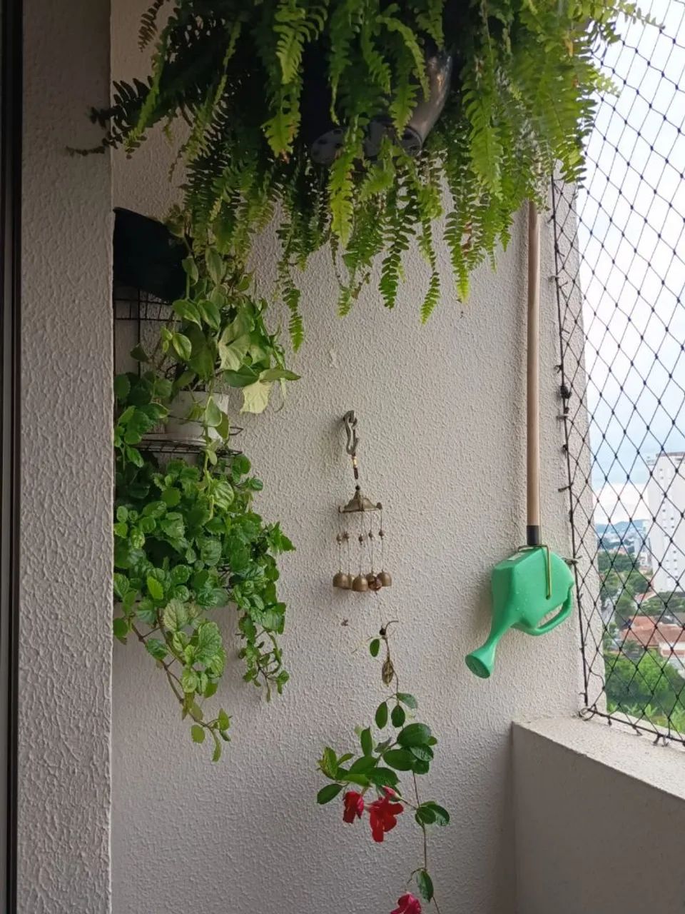 Foto - São Bernardo do Campo - Nova Petrópolis
