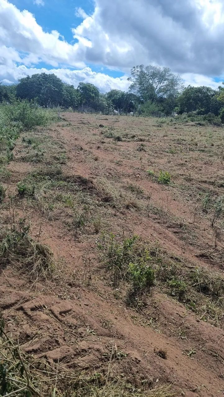 Área para Chácara  - Foto 4