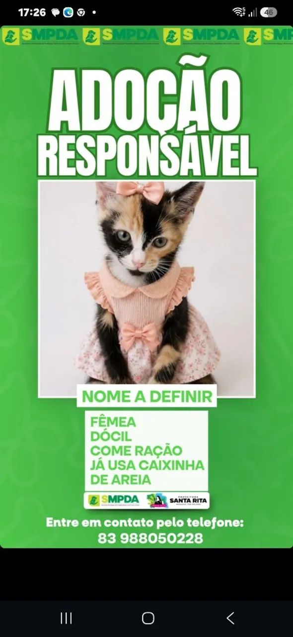 Adoção responsável  - Foto 2