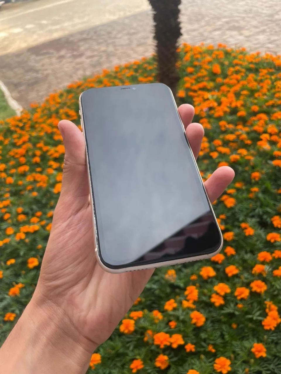 Iphone 11 / 128gb - Foto 2