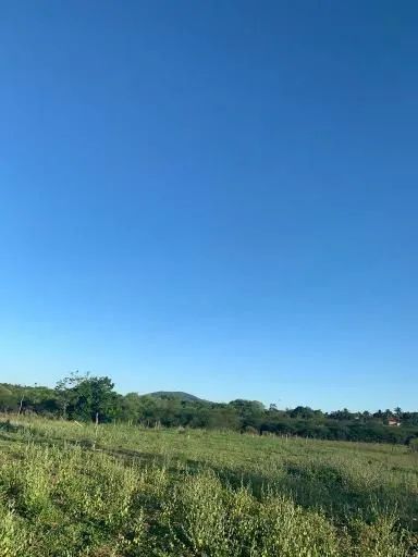 Lote no Pontal do Coruripe  - Foto 3