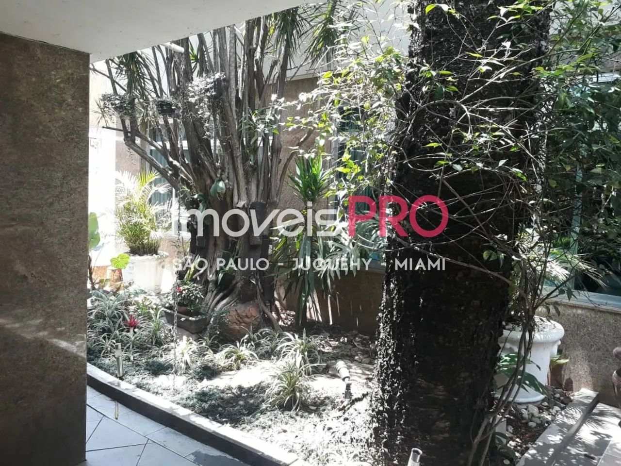 380m² com Edicula e 6 vagas - Foto 4