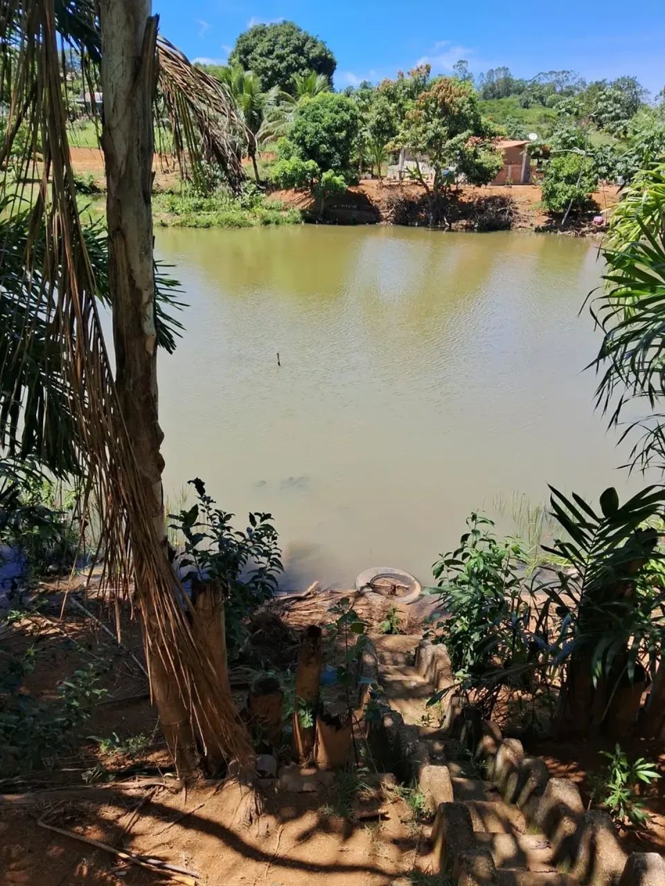 Sitio com linda area verde  em Timbuí - Fundão - ES - Foto 2
