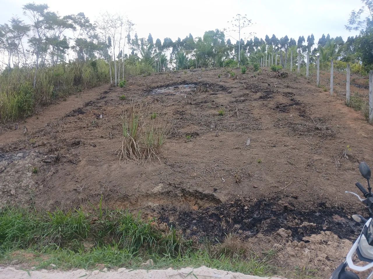 Terreno em paudalho