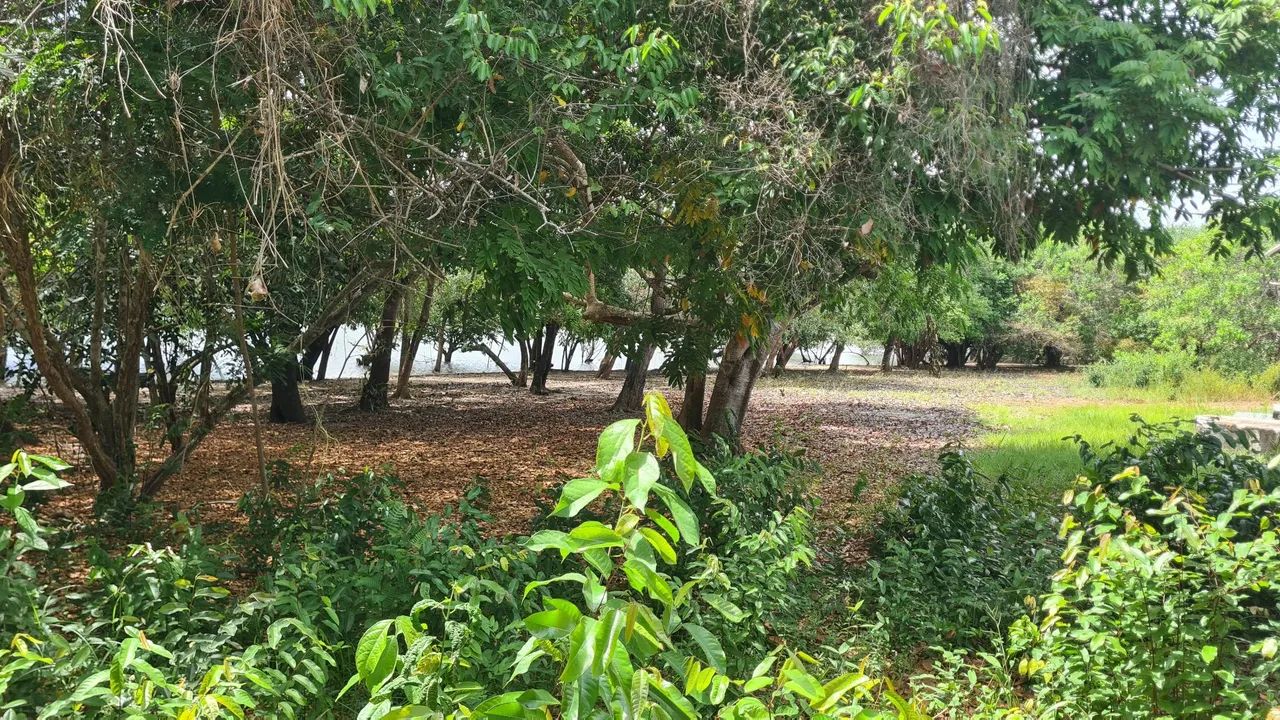 Casa à Venda em Alter do Chão - Foto 5