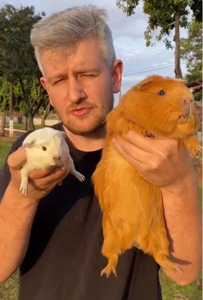 Poquinho da Índia gigante e coelhos