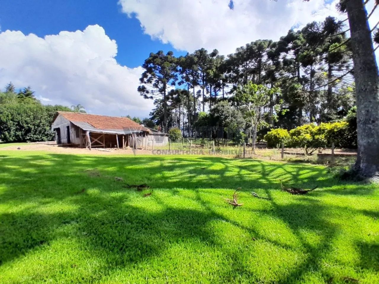 Área 239.216,32m² - Campo Largo da Roseira - Foto 3