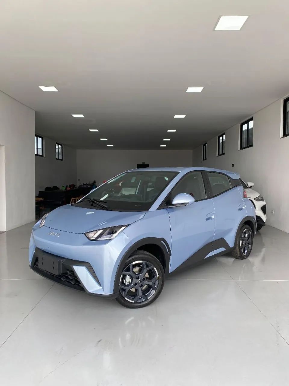 BYD Dolphin Mini (Elétrico) 2027 - Foto 2