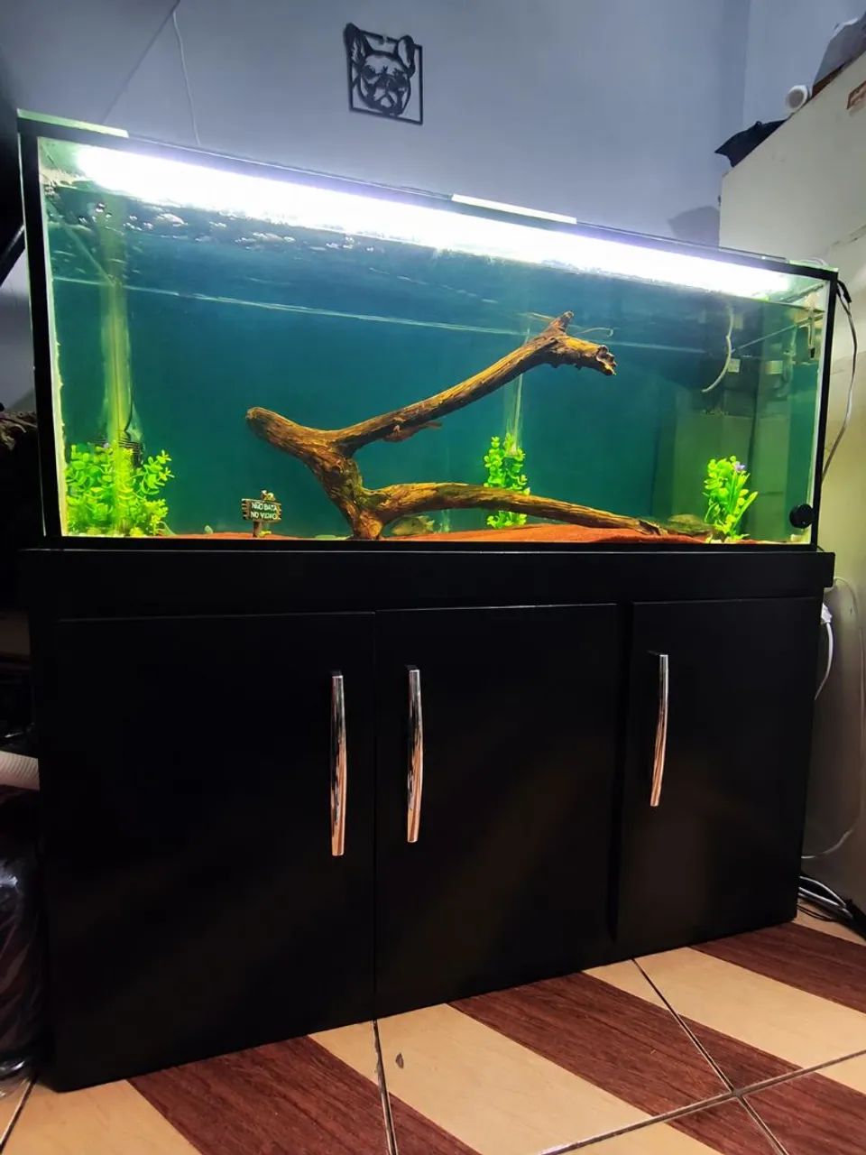 Aquário 240lts com móvel e sump!! - Foto 2