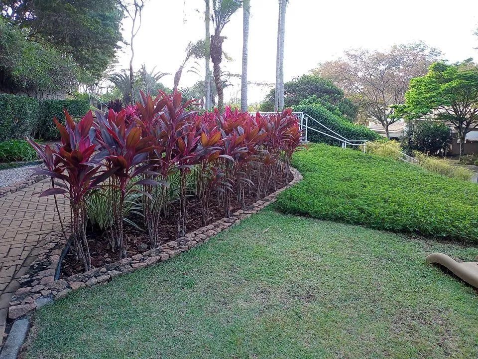 Jardineiro  - Foto 2