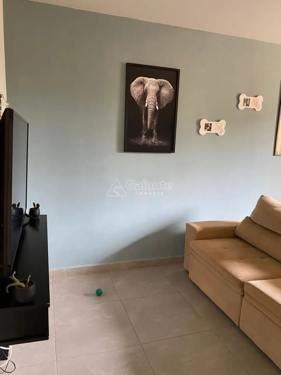 apartamento - Botafogo - Campinas - Foto 3