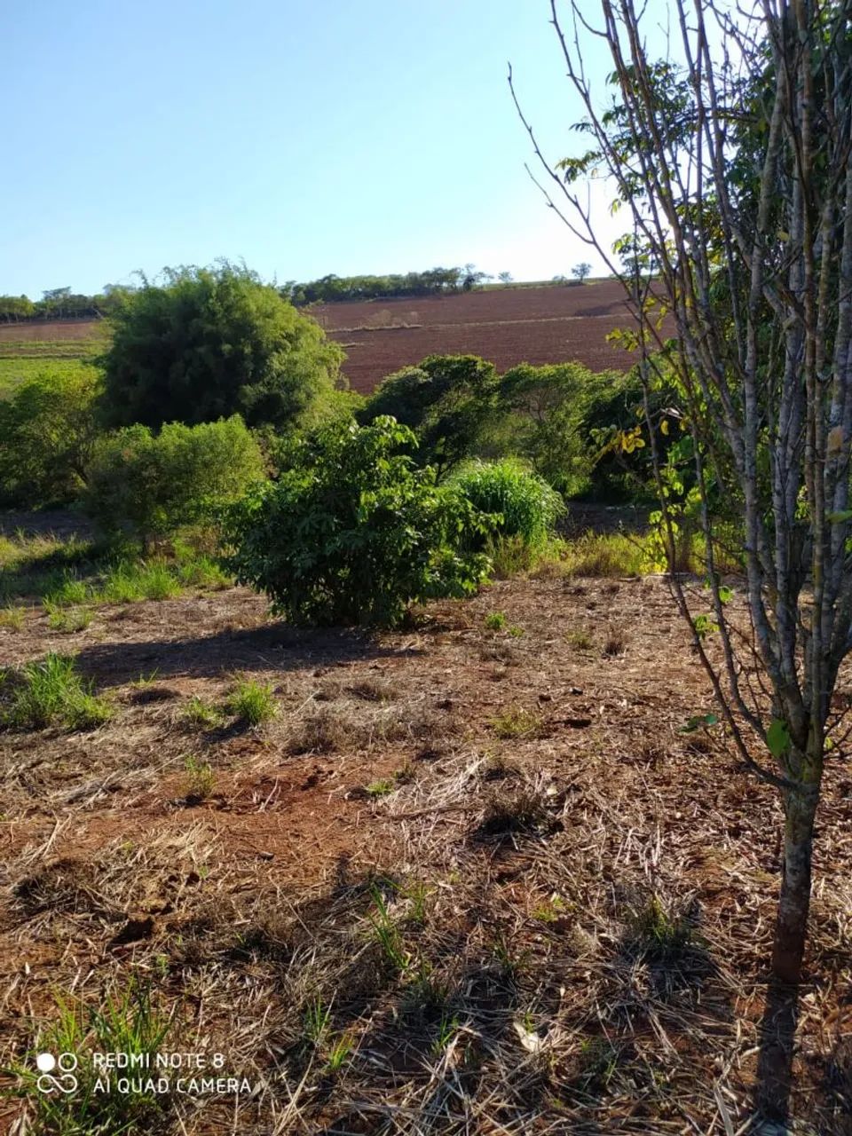 Sítio Recanto do Sossego - Foto 4