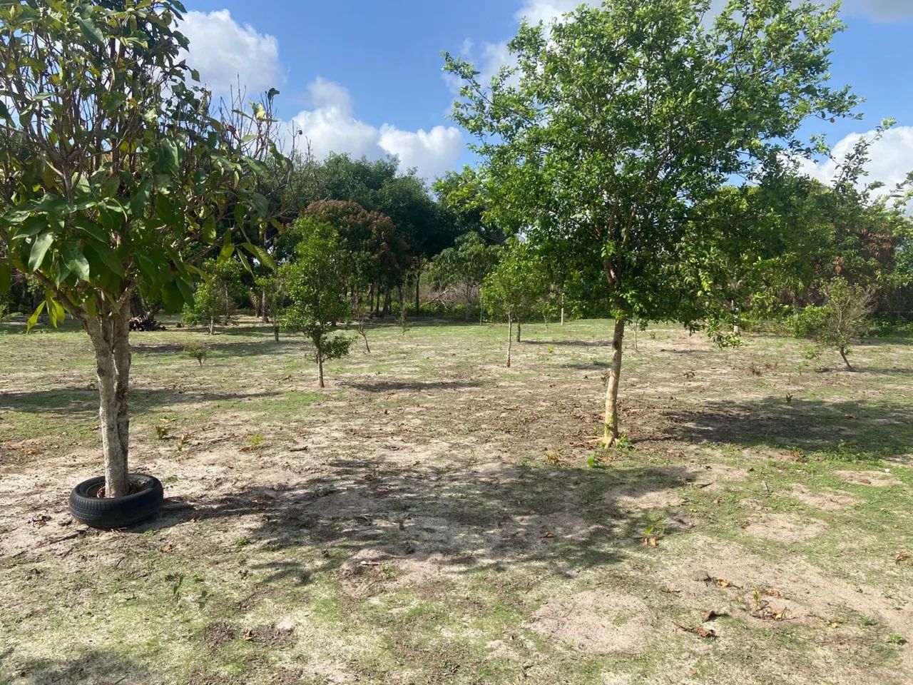 TERRENO 40X52 - Foto 2