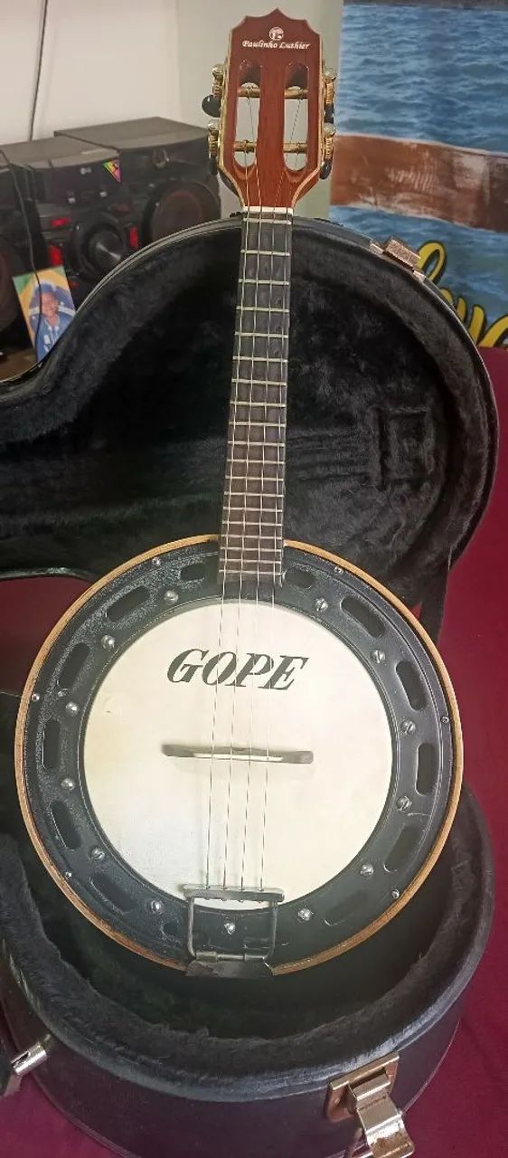 Vende-se banjo Rozini com case