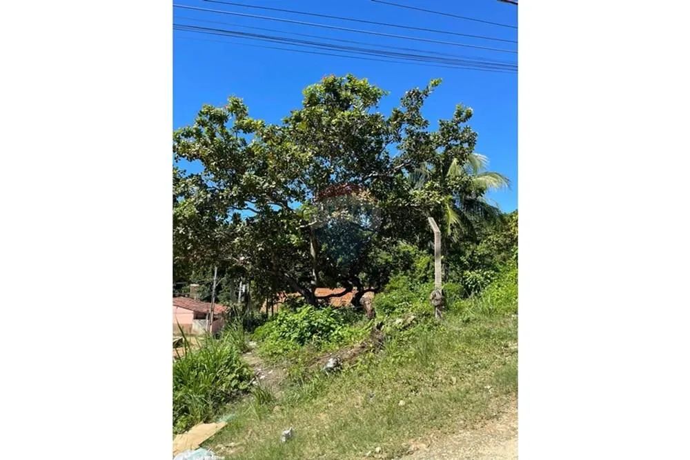 Terreno em guaxuma Maceió, AL-101 - Foto 12