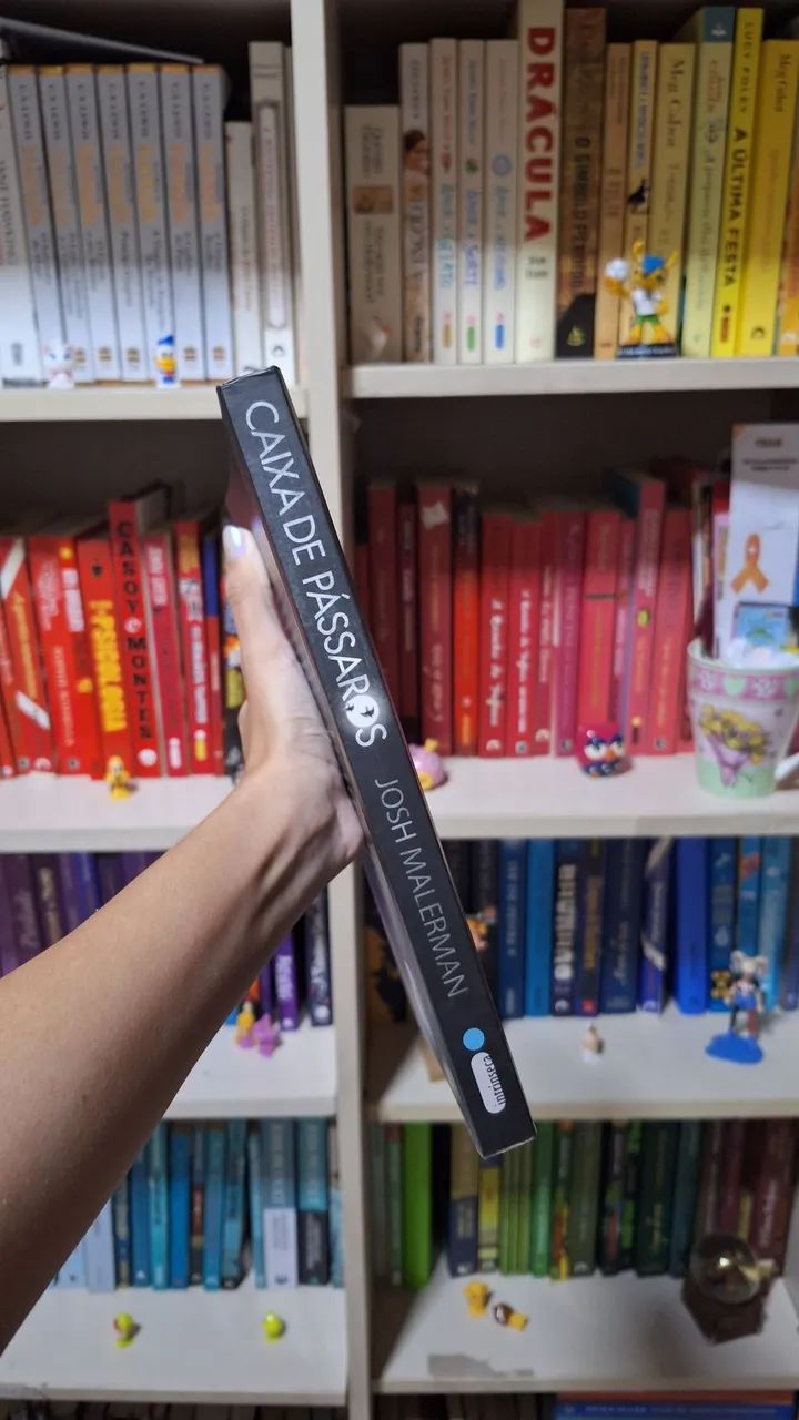 Livro Caixa de pássaros - Josh Malerman - Foto 3