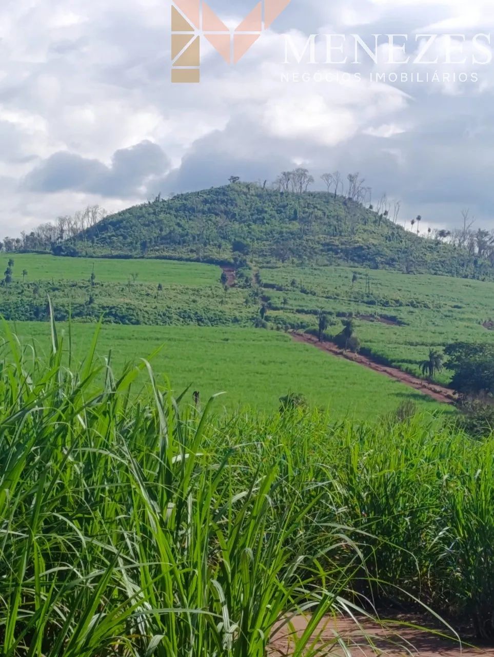 Fazenda à venda em Cajuru/SP