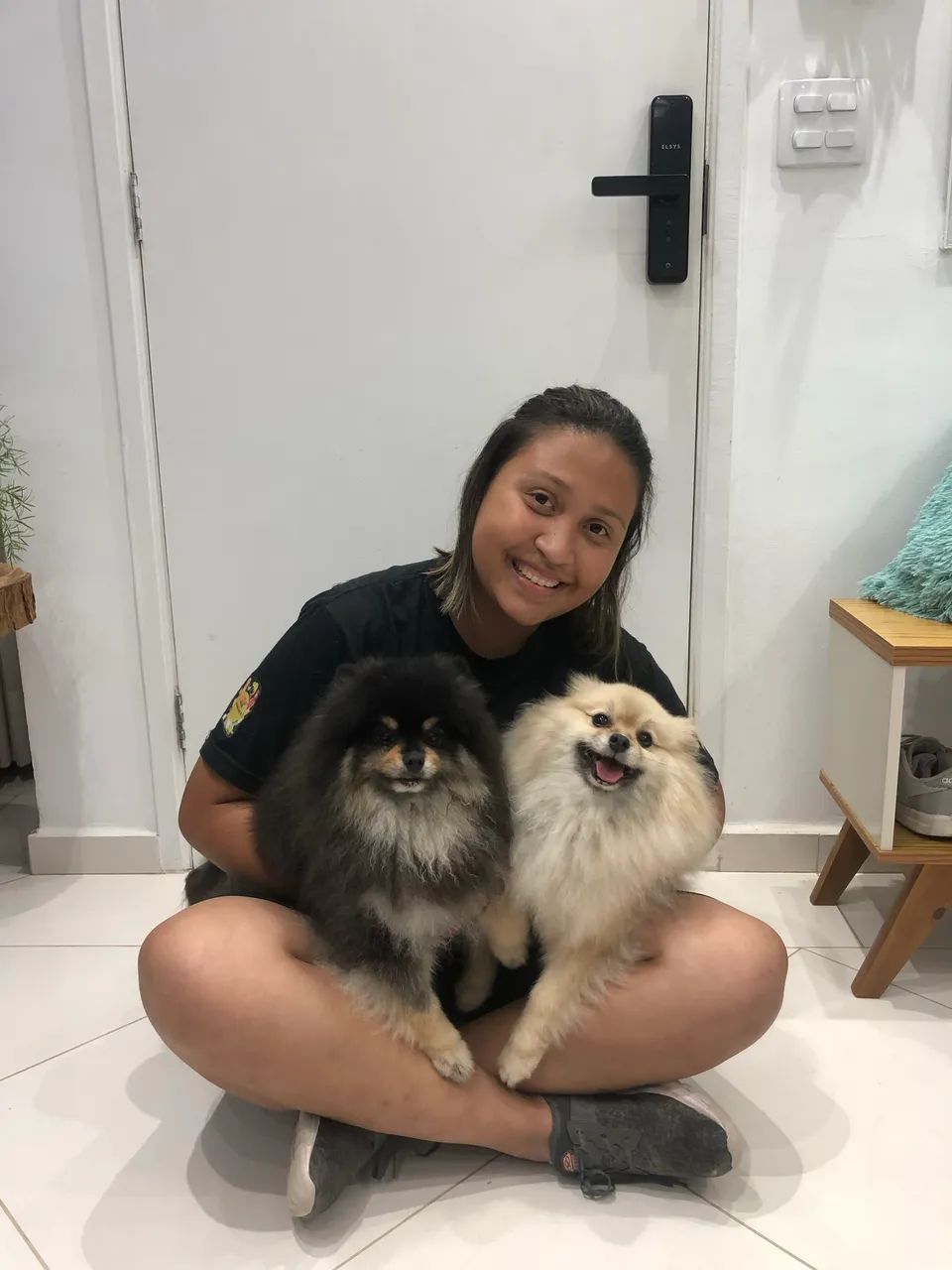 Adestramento de Cães - SJC e região  - Foto 3