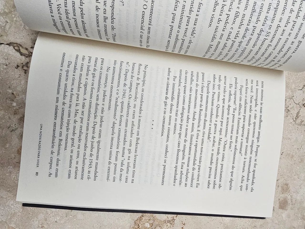 "Os Fornos de Hitler" - Foto 3