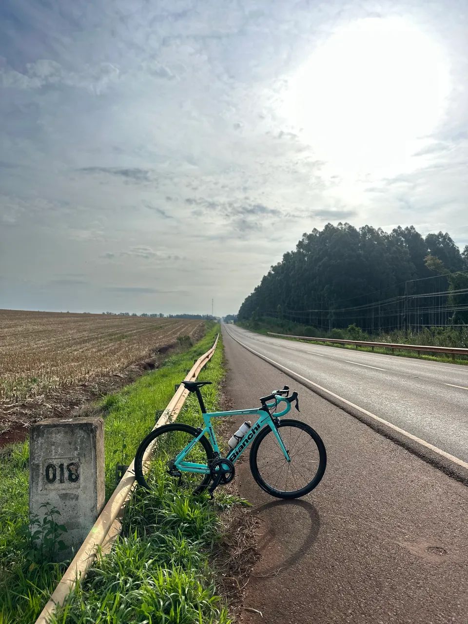 Speed Bianchi Aria  - Foto 4