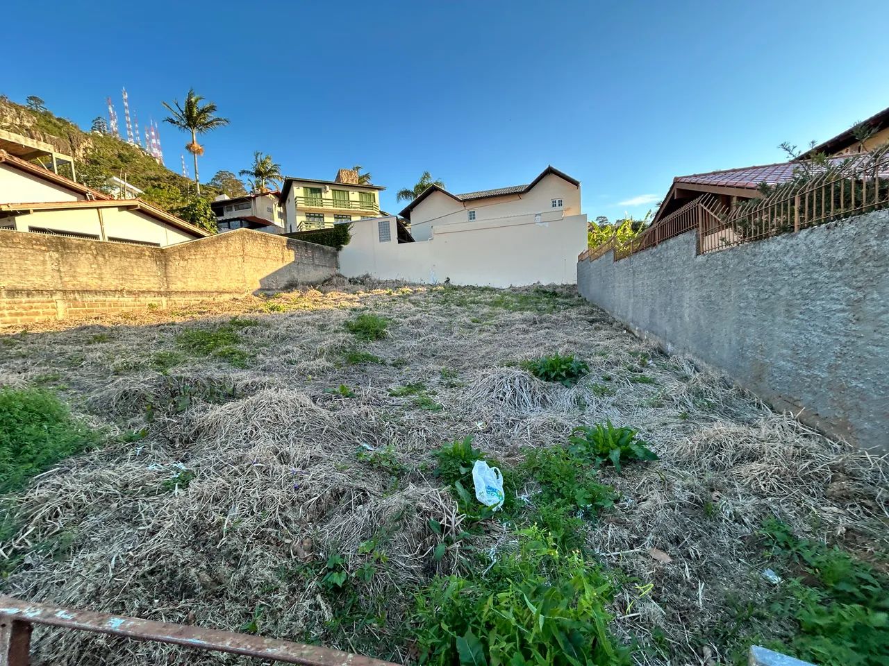 Terreno morro da cruz Florianópolis  - Foto 4