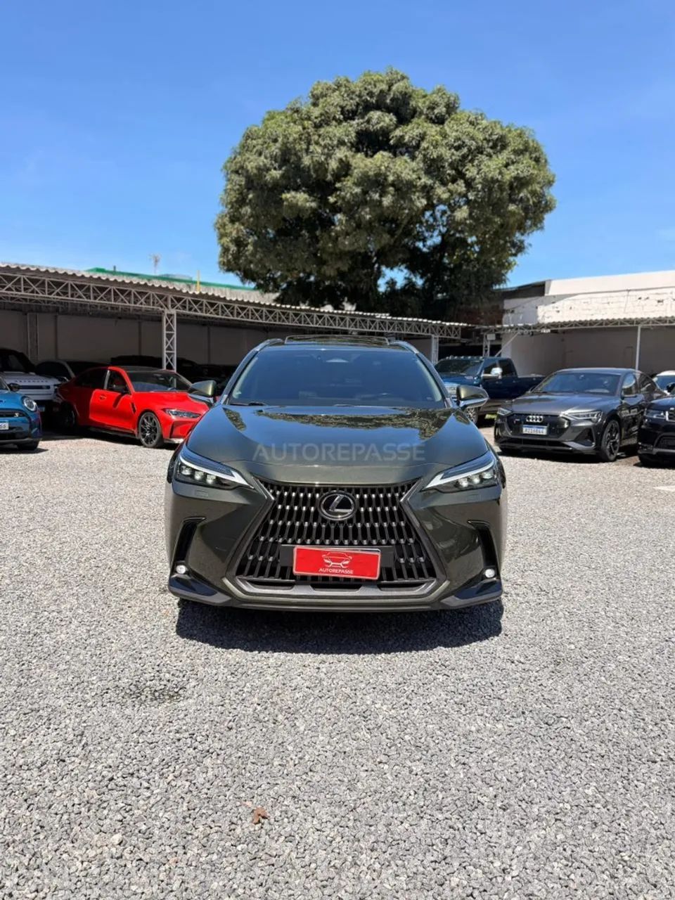Lexus NX-350h Luxury 2.5 16V Aut. (hybrid), foto 2 de 20