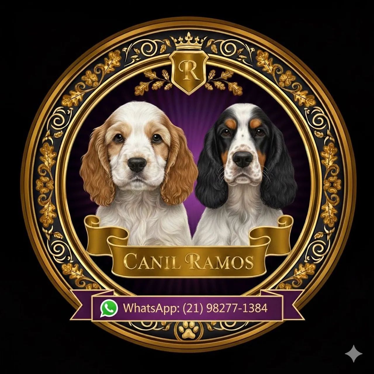 Cocker Spaniel Inglês  - Foto 4