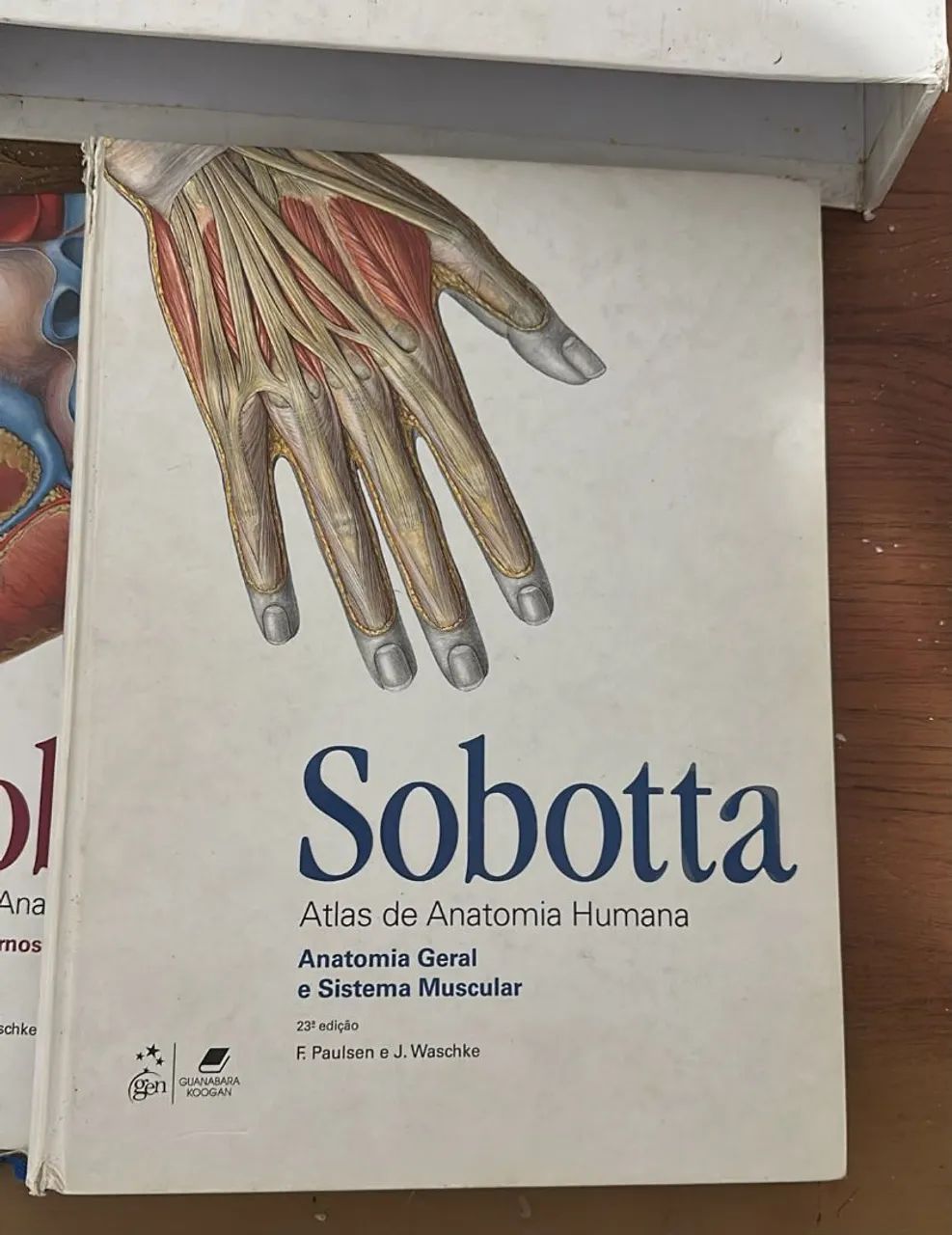 Conjunto de ATLAS SOBOTTA  - Foto 3