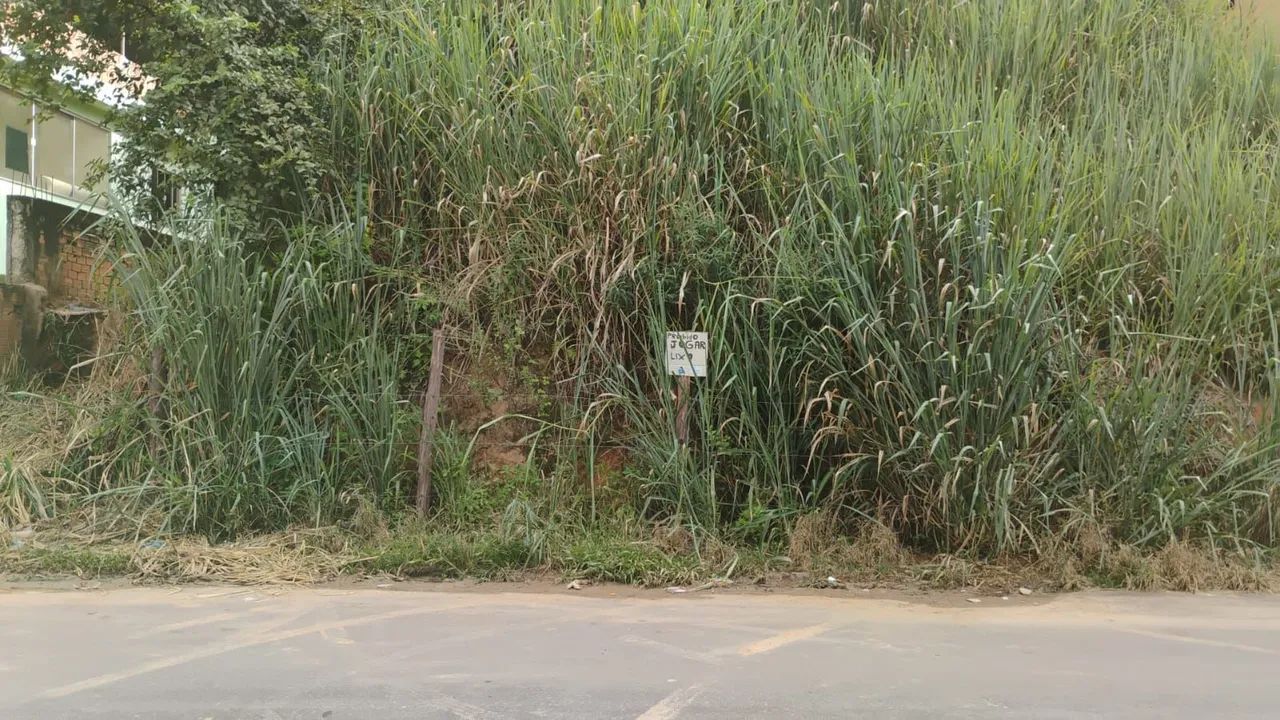 Vendo Terreno  - Foto 5