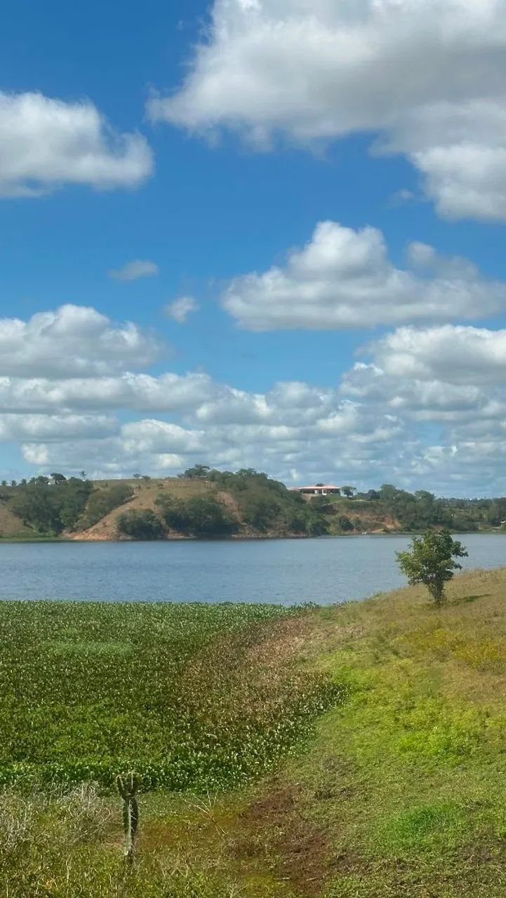 terrenos - Foto 4