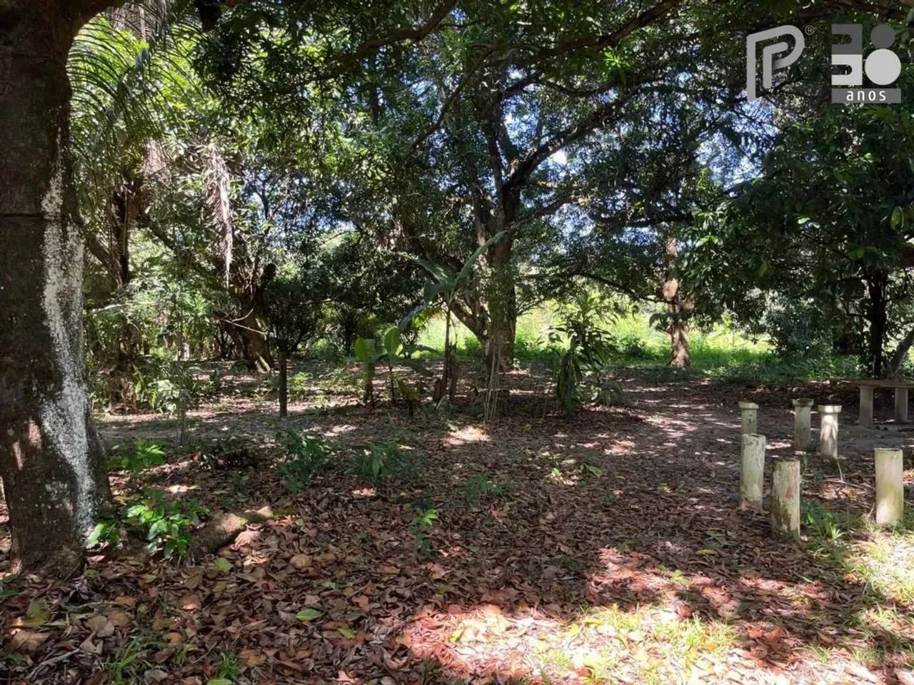 Área à venda, 40.000 m² por R$ 8.000.000,00 - Maiobinha - São Luís/MA - Foto 4