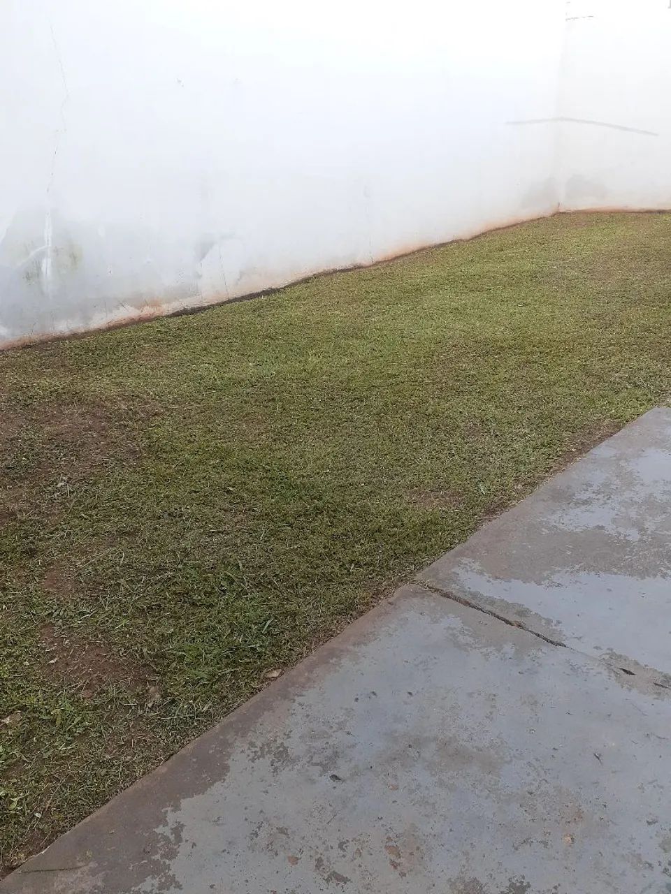 Jardinagem em geral  - Foto 5