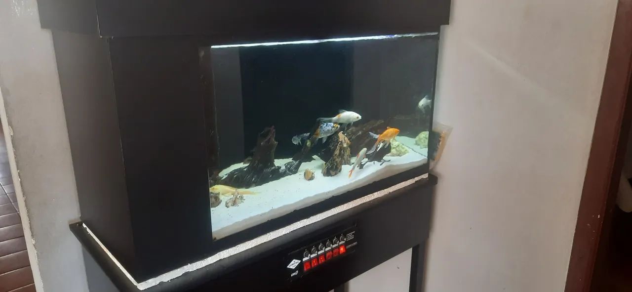 Aquario 200 lt