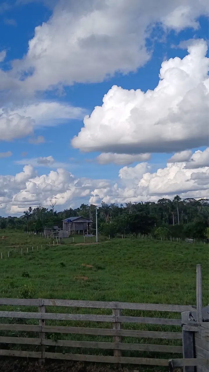Vende-se fazenda com 200 hectares - Foto 3