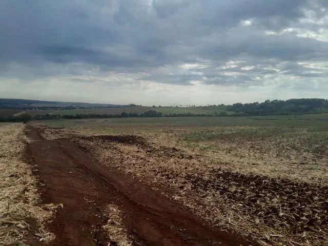 Sítio 7 Alqueires Divisa Dr Camargo/Água Boa - Foto 4