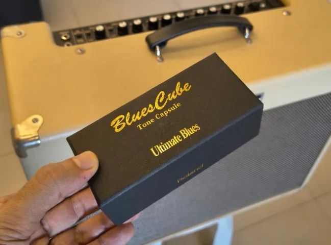 Amplificador Roland Blues Cube Artist 80w + Tone Capsule + Case