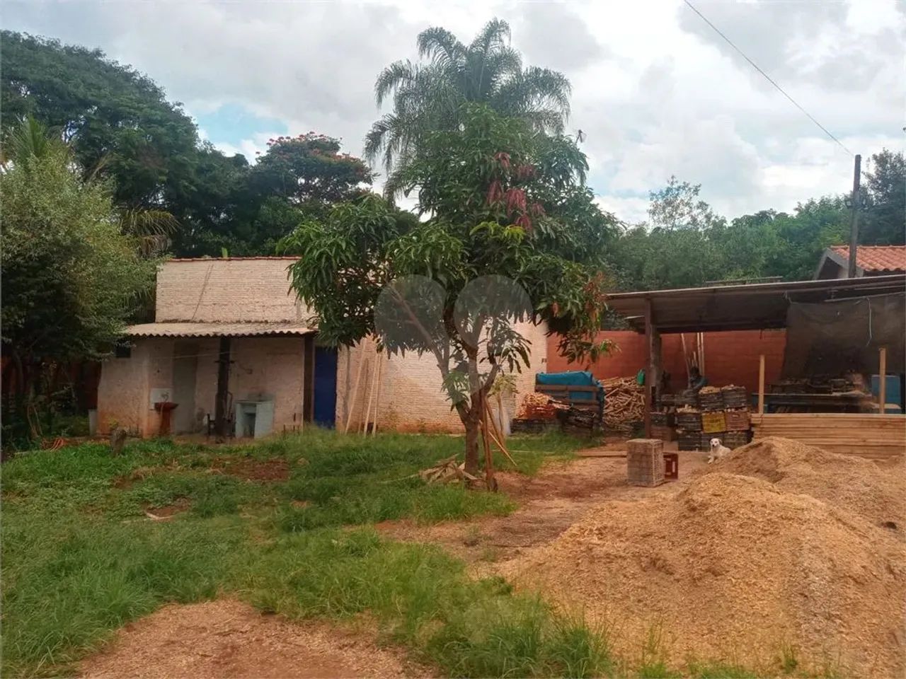 Chácara com 3 quartos à venda em Área rural de engenheiro coelho - SP - Foto 5