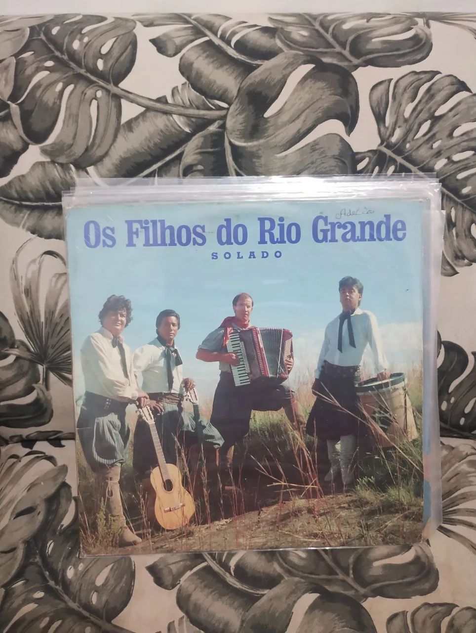 LP vinil