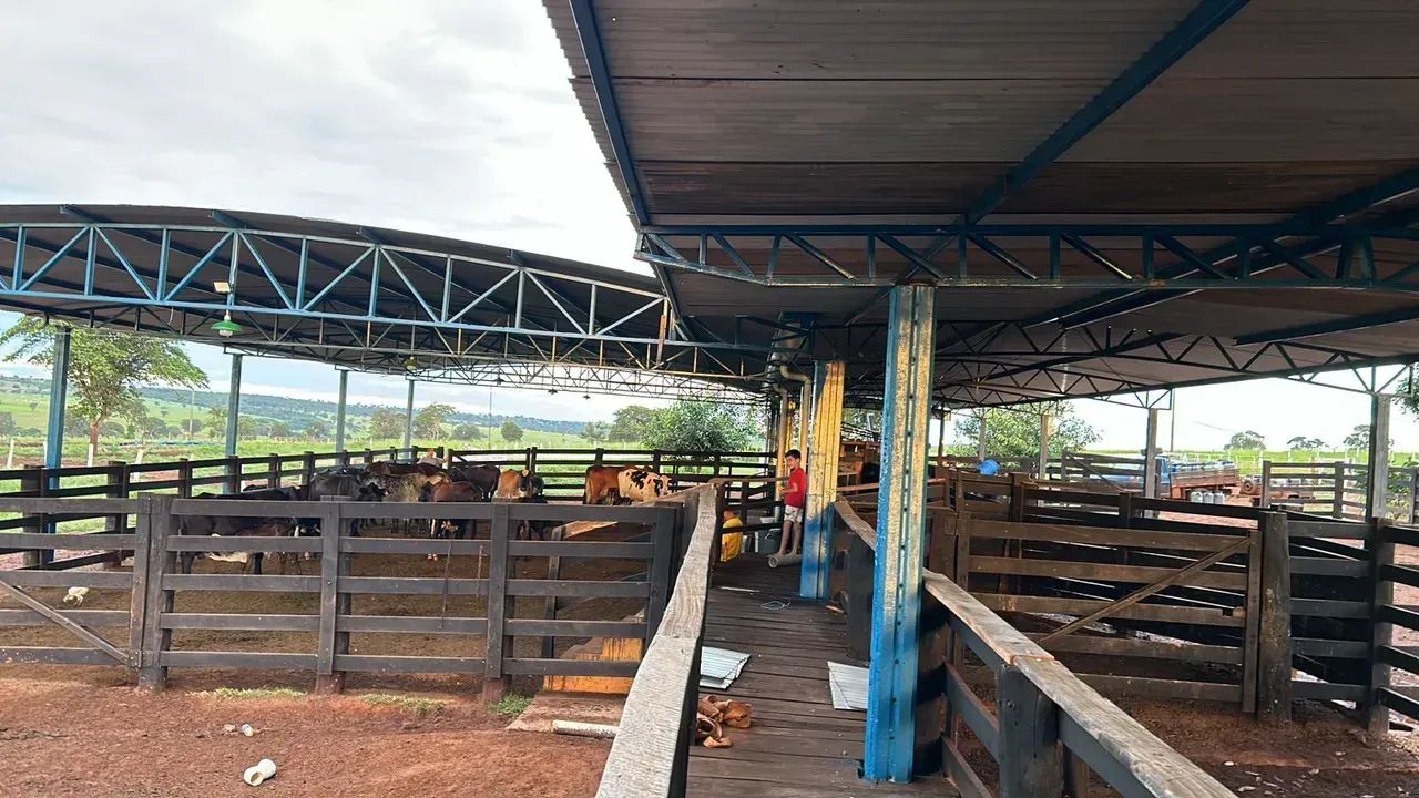 FAZENDA À VENDA  PARANAÍBA/MS     FAZENDA À VENDA  PARANAÍBA/MS - Foto 3
